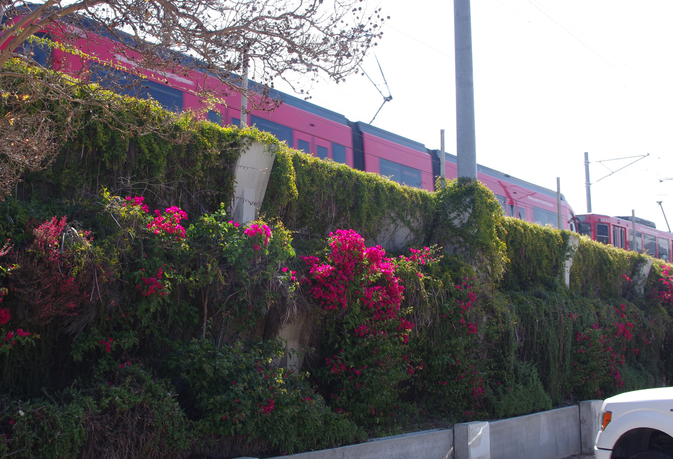 ELC LRT3 PS